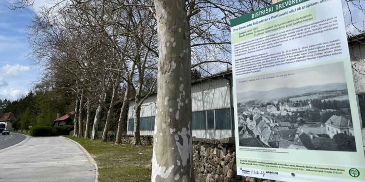 Bistričani izvedeli več o drevoredih v njihovem kraju