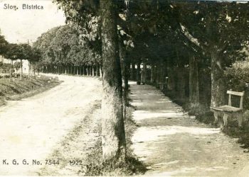 Drevored škrlatnih divjih kostanjev na Kolodvorski ulici