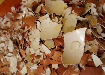 Jajčne lupine v vrtu