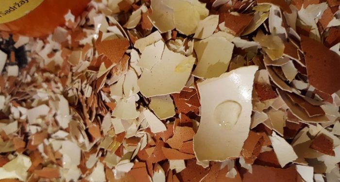 Jajčne lupine v vrtu