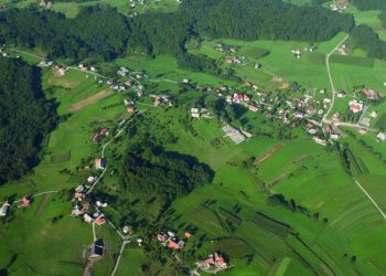 Las med Pohorjem in Bočem