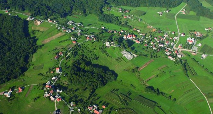 Las med Pohorjem in Bočem