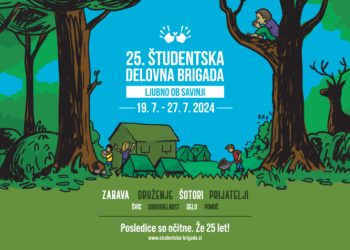 Študentska delovna brigada