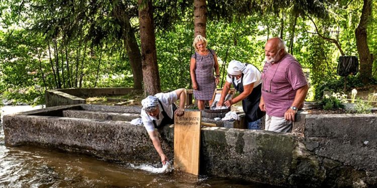 Park in perišče v Oplotnici