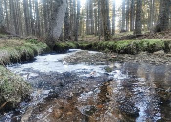 Občinski svet bo na prihodnji seji sprejemal odlok o Regijskem parku Pohorje