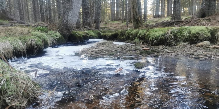 Občinski svet bo na prihodnji seji sprejemal odlok o Regijskem parku Pohorje