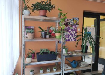 Zavetišče za rože in izposojevalnica reči