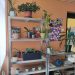 Zavetišče za rože in izposojevalnica reči