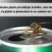 Previdno pri pitju iz pločevink