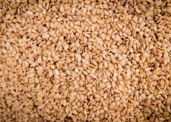 Ali ste vedeli … da je sezamovo olje eno najstarejših