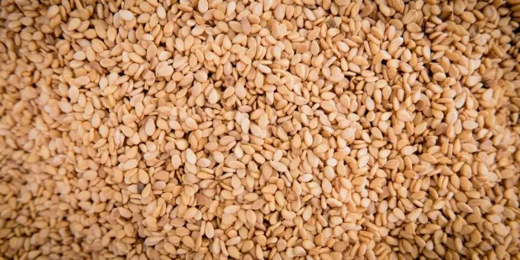 Ali ste vedeli … da je sezamovo olje eno najstarejših