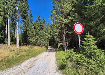 V Regijskem parku Pohorje akcija nadzora v naravi