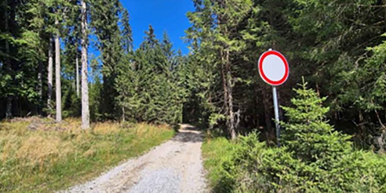 V Regijskem parku Pohorje akcija nadzora v naravi