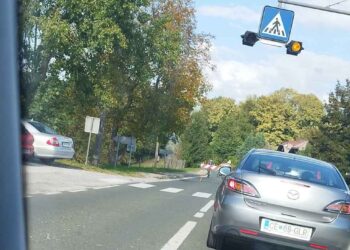 Motorist zaradi hudih poškodb umrl na kraju dogodka