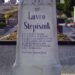 Knjižnica uredila Stepišnikov grob