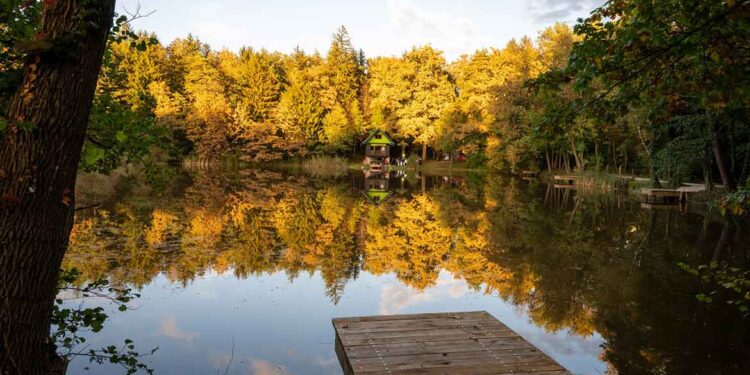 Končana 1. faza obnove Partovca