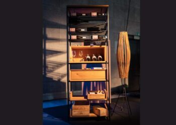 Aleš Wenzel nagrajen z nagrado Top ideje