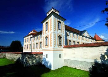 Svetniki bodo odločali  o obnovi strehe gradu