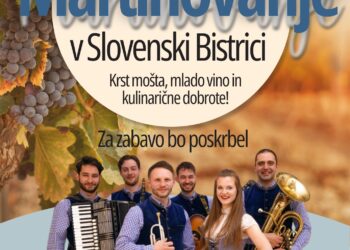 MARTINOVANJE 2024