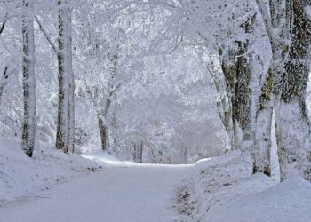 Ob 10.00 bodo zaprli avtocesto proti Ljubljani