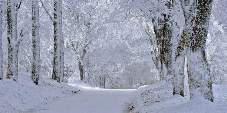 Ob 10.00 bodo zaprli avtocesto proti Ljubljani