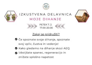 AEQ® Dihalna Delavnica