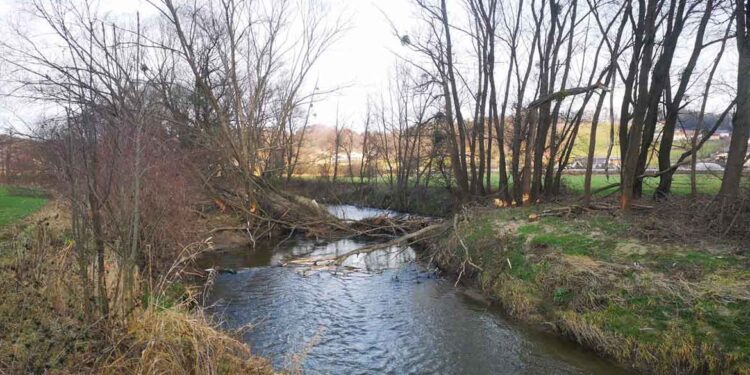 Poziv lastnikom priobalnih zemljišč