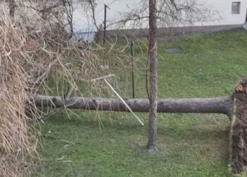 Močan veter povzroča nevšečnosti