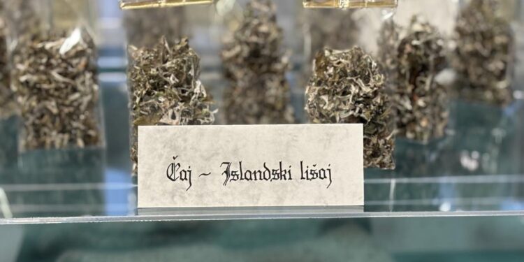 Osupljivi projekti Crouzatorja 2.0 so se postavili na ogled