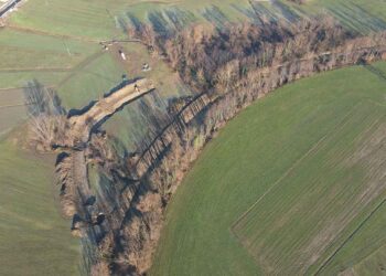 Obnova naravne dinamike Dravinje med Makolami inGlobokim
