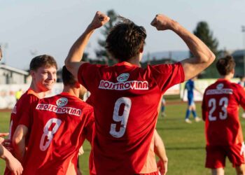 Krapuhinova dvojna mojstrovina za točko proti Brinju