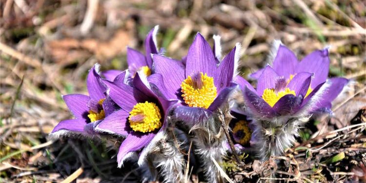Boč skozi zgodbe, naravo in inovacije