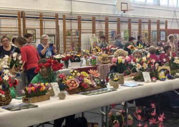 7. Cvetje, ki ne uvene na Pragerskem