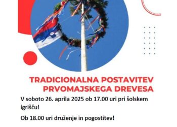 Postavljanje majskega drevesa