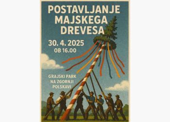 Postavljanje prvomajskega drevesa