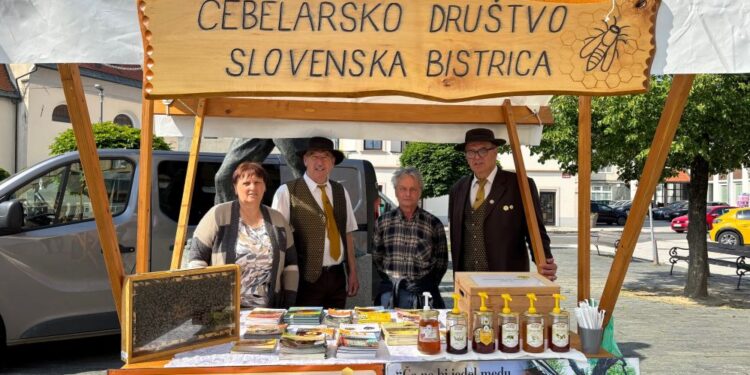 Čebelarji Čebelarskega društva Slovenska Bistrica na Trgu svobode ob Svetovnem dnevu čebel | foto: Natalija Sinkovič