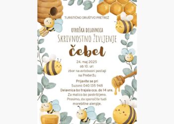 Skrivnostno življenje čebel