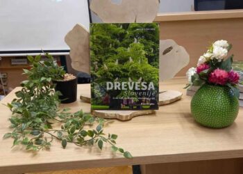 Ko nam drevesa spregovorijo