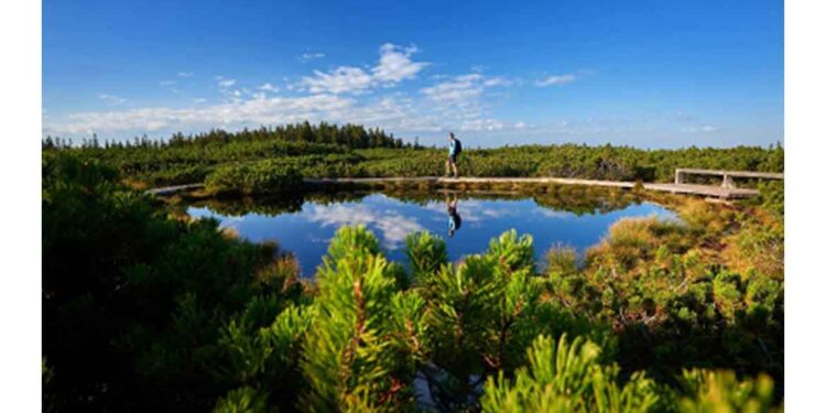 Regijski park Pohorje praznuje prvo leto delovanja!