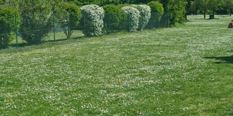 Na Zgornji Polskavi ali v Morju pri Framu kupiva gradbeno parcelo ali hišo