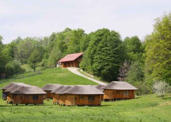 Bionska zdravilna vas: kjer se prepletajo narava, znanost in duhovnost