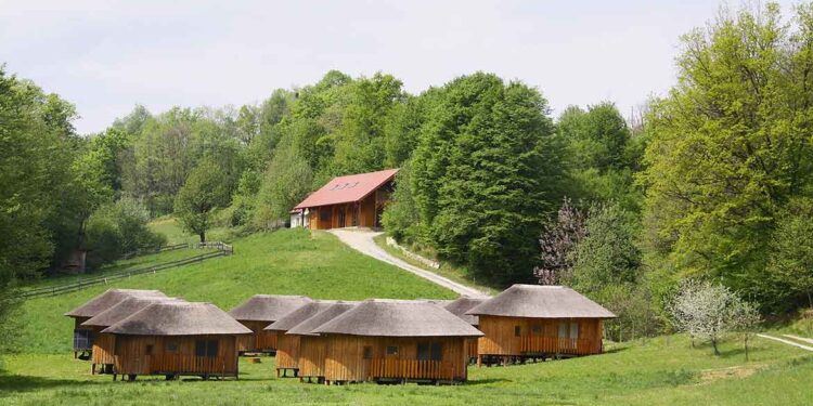 Bionska zdravilna vas: kjer se prepletajo narava, znanost in duhovnost