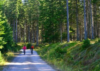 Z avtobusom na Pohorje