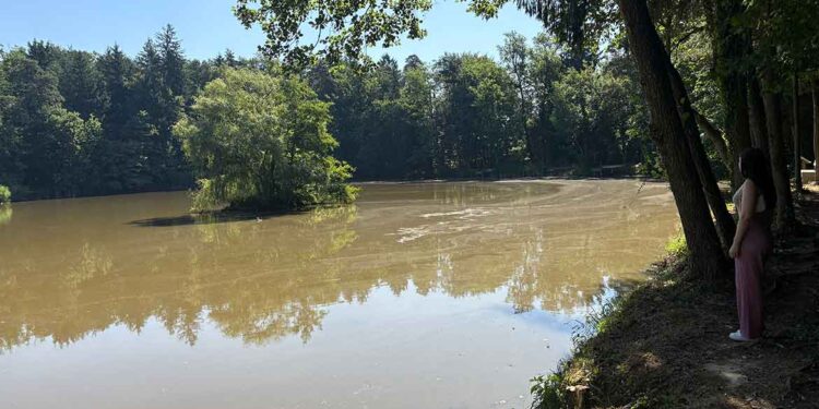 Oplotnica uspešno zaključila obsežen projekt obnove naravnega bisera