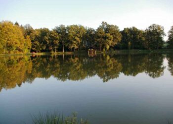 RIBNIK VIDEŽ preventivno zaprt za ribolov