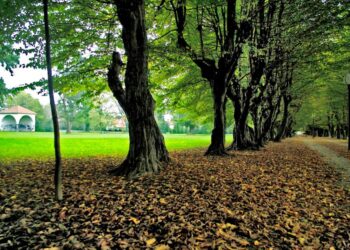 Za boljšo varnost: spodbujanje preventive, ozaveščanje in videonadzor