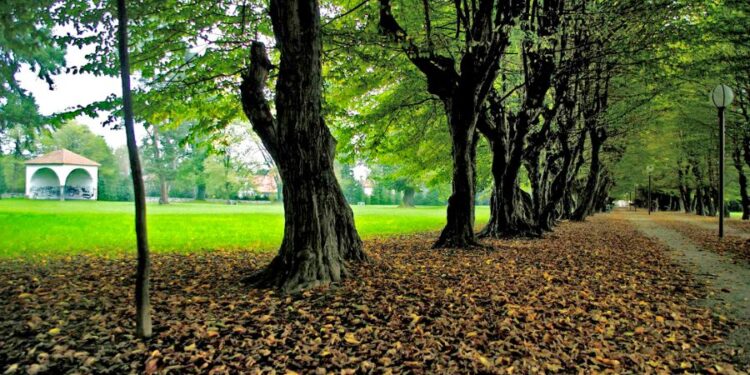 Za boljšo varnost: spodbujanje preventive, ozaveščanje in videonadzor