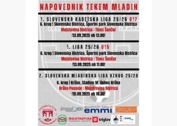 Napovednik tekem mladih NK Bistrica