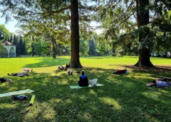 Brezplačna vadba za starejše tudi letos v Oplotnici