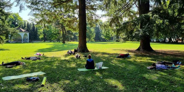 Brezplačna vadba za starejše tudi letos v Oplotnici